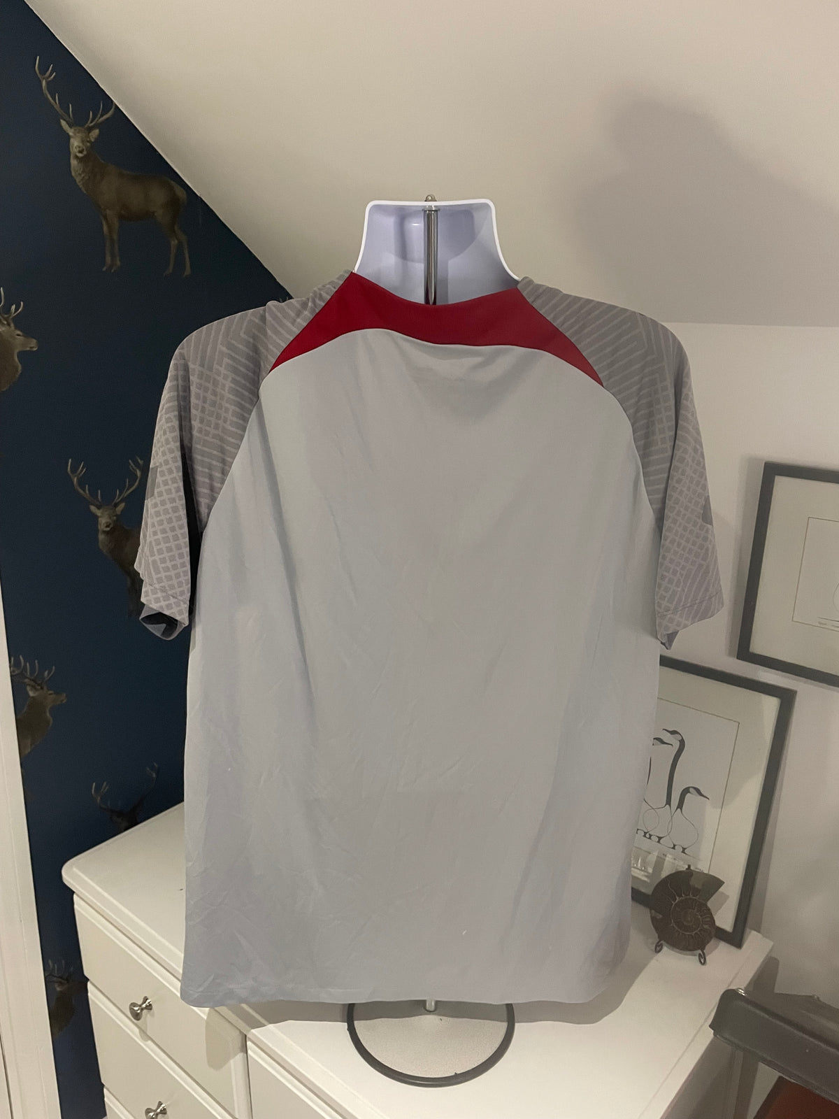 Liverpool AXA pre match training shirt