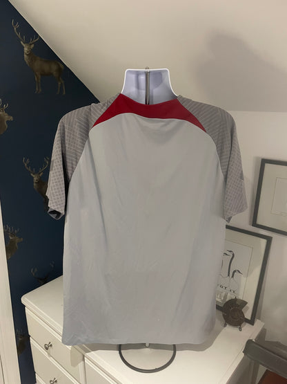 Liverpool AXA pre match training shirt