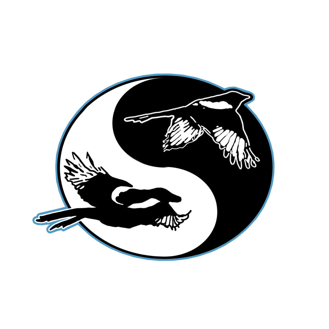 Newcastle United Seoul magpies football shirt sponsor heat transfer