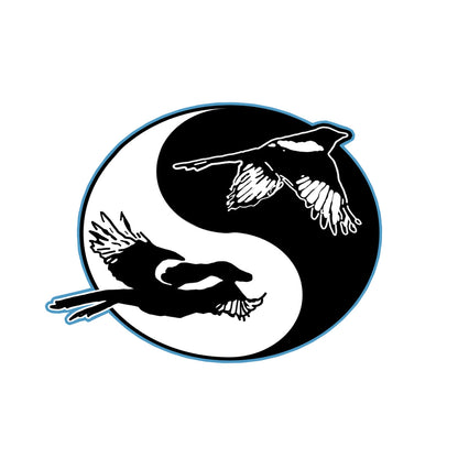 Newcastle United Seoul magpies football shirt sponsor heat transfer