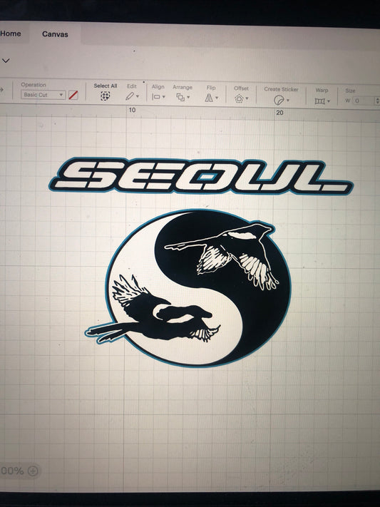 Newcastle United Seoul magpies football shirt sponsor heat transfer