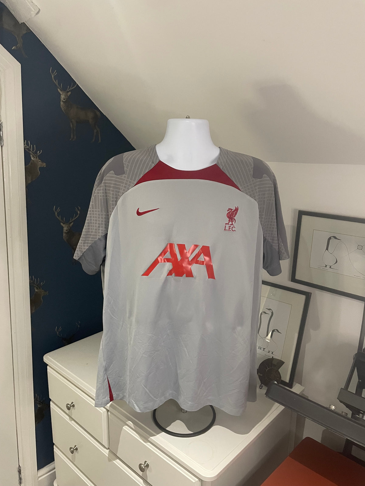 Liverpool AXA pre match training shirt