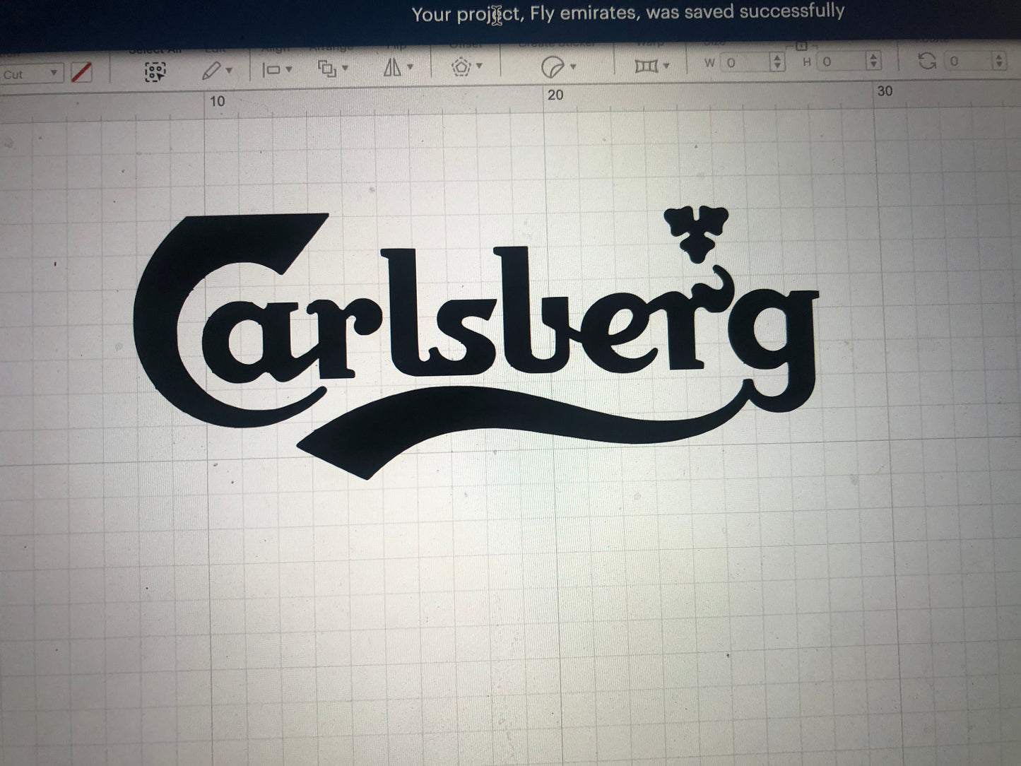 Carlsberg Vinyl Heat Transfer Football Shirt Sponsor